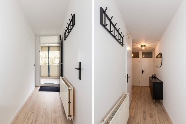 Zadkinerade 17_13+14.jpg